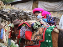图集 | 民俗文化荟萃香格里拉世界第一村尼汝 祭山跑马节