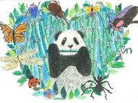 我是自然创想家|生物多样性大型雕塑主题彩绘公益活动优秀作品线上展·环保家系列（七）