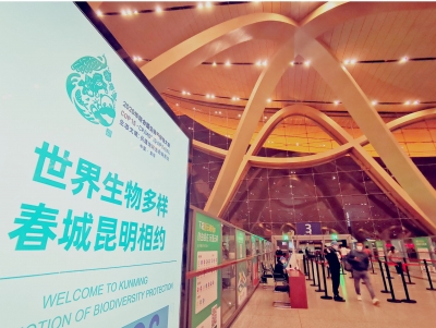 祖国好 家乡美丨国庆黄金周云南省内机场运送旅客100.16万人次