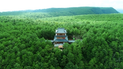 重阳游方山 | 登高 赏花 怀古