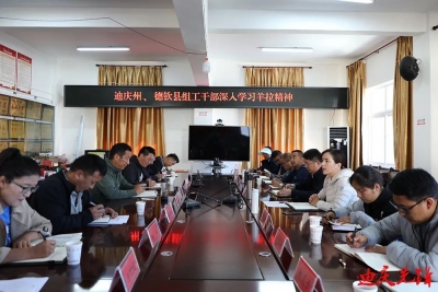 迪庆组工干部深入学习“羊拉精神”
