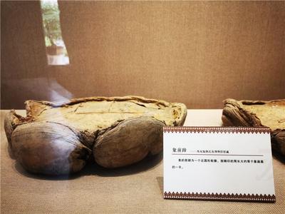 “雨林深处有大象——西双版纳与大象”展览在石屏县博物馆开展