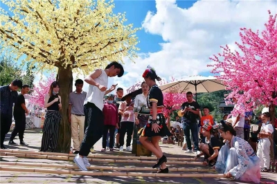 祖国好 家乡美丨2021国庆“黄金周”，普洱市共接待游客82万人次！