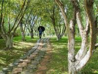 图集 | 逛宝丰湿地公园 观生物多样性