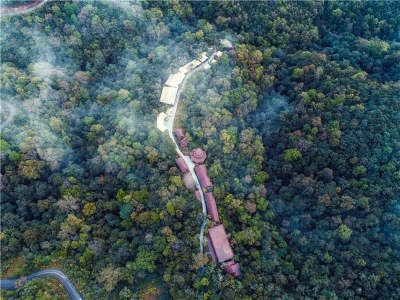 喜迎COP15丨走进天赐普洱，开启一段妙趣横生的生物多样性之旅！
