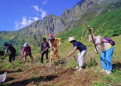 2021年东川大洋芋·李子沟开花洋芋云直播活动近日开幕