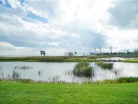 图集 | 逛宝丰湿地公园 观生物多样性