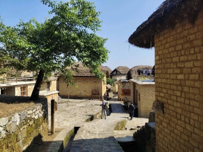 又㕛叒叕分钱啦！乡村旅游绘就阿者科好“钱”景