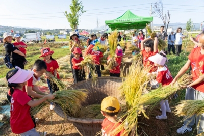 祖国好 家乡美 | “大理·上关最美乡愁季洱海留香摸鱼体验活动”云上绽放农耕魅力