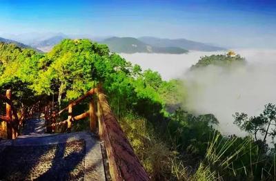 美在普洱，浪漫景东！
