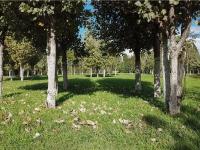 图集 | 逛宝丰湿地公园 观生物多样性