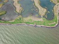 图集 | 逛宝丰湿地公园 观生物多样性