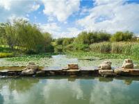 图集 | 逛宝丰湿地公园 观生物多样性