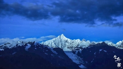 绝美片花震撼首发！COP15大型纪录片《生命之歌》即将在央视播出