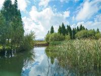 图集 | 逛宝丰湿地公园 观生物多样性