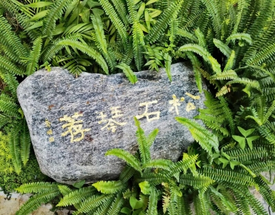 既邀君子，窈兮共道——【自得其所·云园】一大波文化公益讲座正在来袭