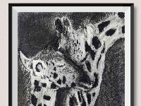 我是自然创想家|生物多样性大型雕塑主题彩绘公益活动优秀作品线上展·环保家系列（八）