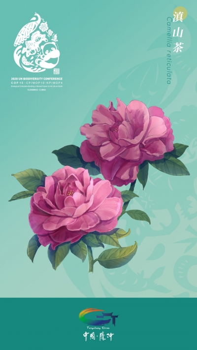 喜迎COP15大会！腾冲超美高黎贡山生物手绘出炉，快点开...