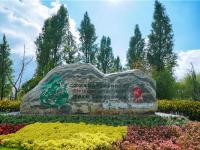 图集 | 逛宝丰湿地公园 观生物多样性