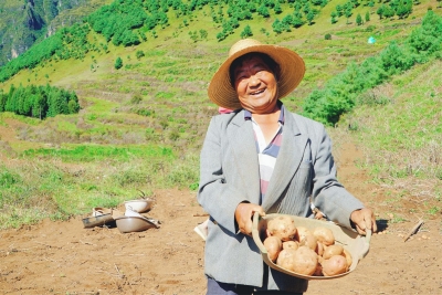 2021年东川大洋芋·李子沟开花洋芋云直播活动近日开幕