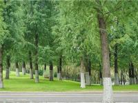 图集 | 逛宝丰湿地公园 观生物多样性