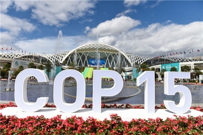 视频 | COP15会场免费开放 感受云南生物多样性