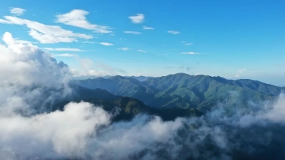 聚焦COP15 | 呵护候鸟迁徙 探访玉溪新平哀牢山金山丫口鸟类监测环志站