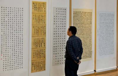 玉溪市第六届“碧玉清溪是我家”书法（临书）作品展开展