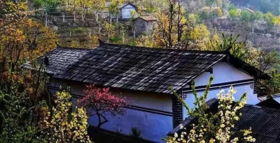 今天，解锁一个无量山中的宝藏小村