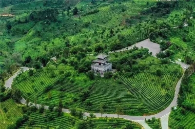 茶山云海之上，有一间山景好房！