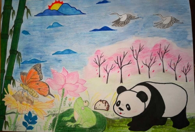 我是自然创想家|生物多样性大型雕塑主题彩绘公益活动优秀作品线上展·环保家系列（七）