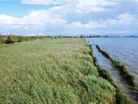 图集 | 逛宝丰湿地公园 观生物多样性