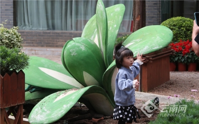 植物图书馆里学科普 昆明市民走进有趣的植物世界