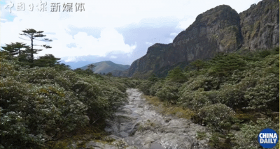 人间值得！云南蘑菇的故乡，原来这么美……