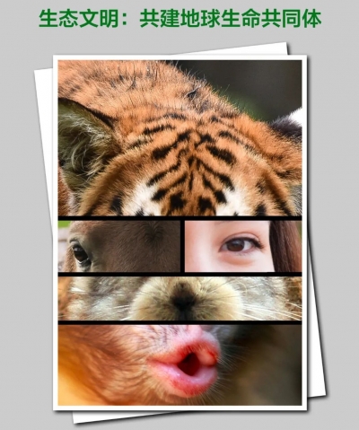 这些“证件照”，有话要说……