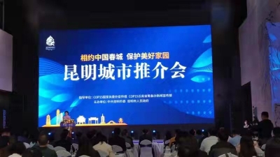 石林彝族撒尼刺绣为COP15添彩