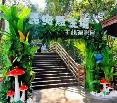 喜迎COP15 | 西双版纳野象谷“昆虫原生境手机摄影展”10月10日开幕