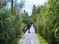 图集 | 逛宝丰湿地公园 观生物多样性