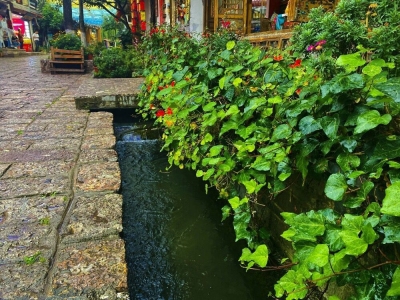 深秋雨天，赏云南别样风景