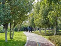 图集 | 逛宝丰湿地公园 观生物多样性