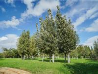 图集 | 逛宝丰湿地公园 观生物多样性