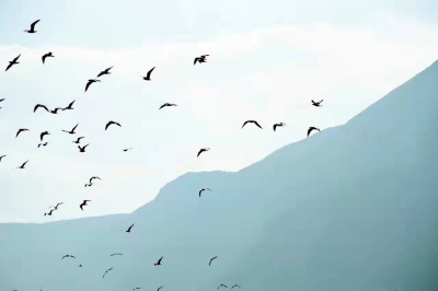 今日重阳｜登高望远觅秋意