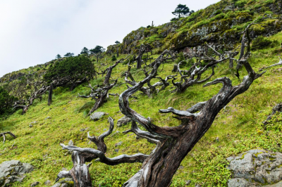 山水魂路图 诗意轿子山
