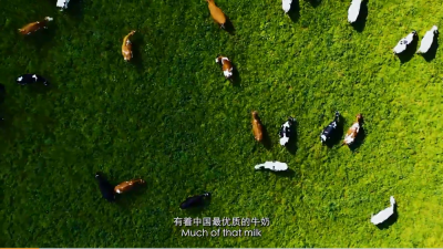 烟火人间 味道大理