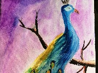 我是自然创想家|生物多样性大型雕塑主题彩绘公益活动优秀作品线上展·环保家系列（八）