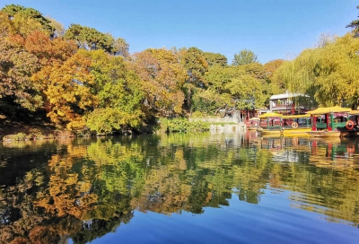疫情之下，这份北京市属公园彩叶观赏指南请收好