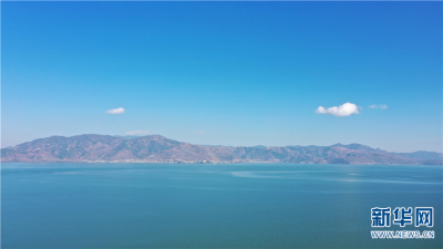 多样云南 | 大理不止风花雪月，还有这些惊艳了时光的生物