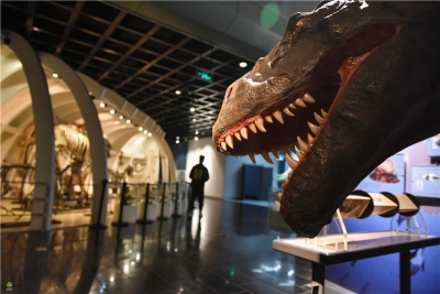 图集 | 聚焦COP15 动物博物馆带你了解“动物王国”