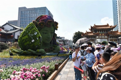 图集 | 立体花坛 昆明街头一道靓丽的风景线