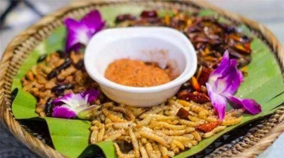 普洱人的美丽吃情——秋吃百虫！